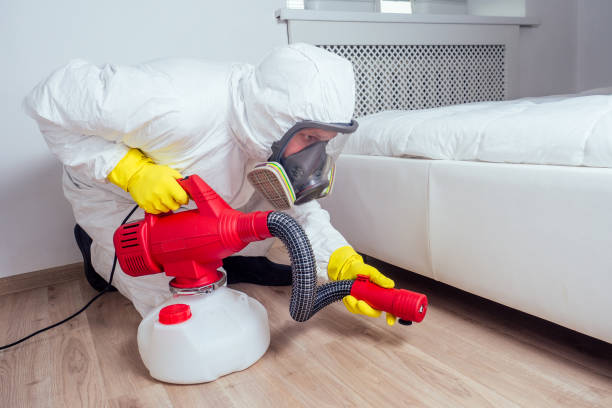Best Insect Control  in Kewanee, IL