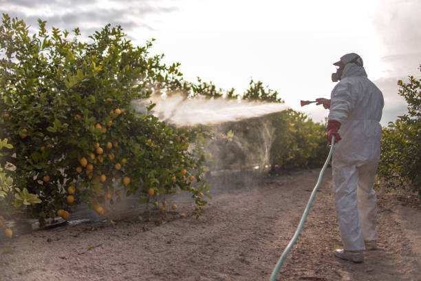 Best Best Pest Control Companies  in Kewanee, IL