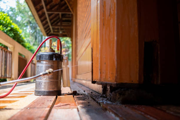 Best Exterminator Services  in Kewanee, IL